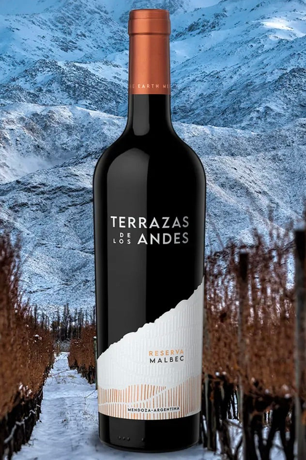 Bodegas Terrazas de los Andes 2021 Malbec Mendoza Reserva