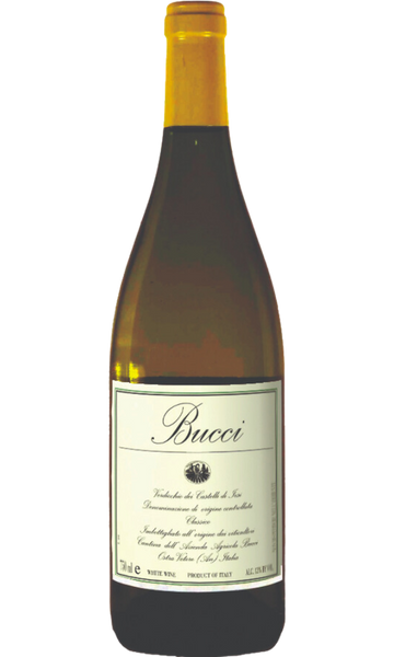 Buy Bucci 2022 Verdicchio dei Castelli di Jesi Classico Superiore