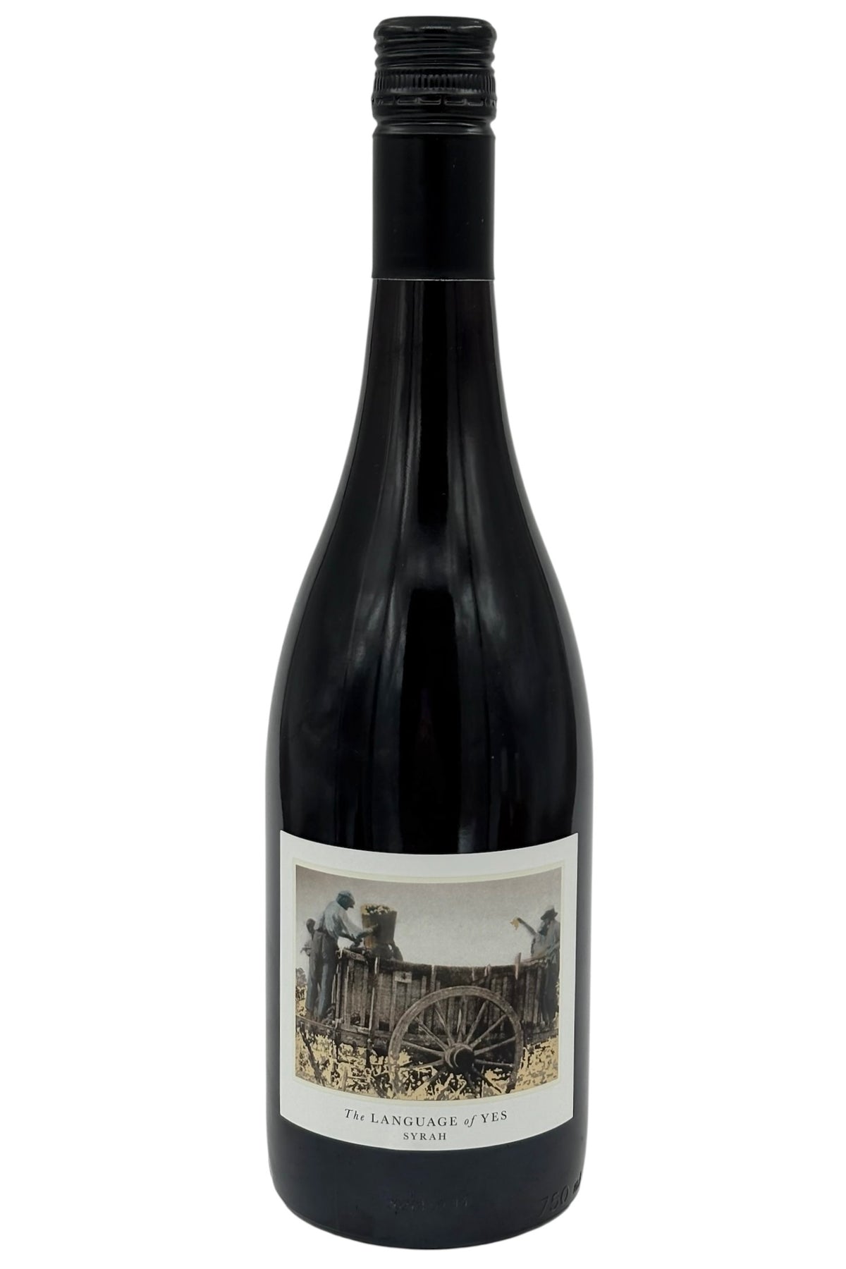 The Language of Yes 2022 Syrah Santa Maria Valley