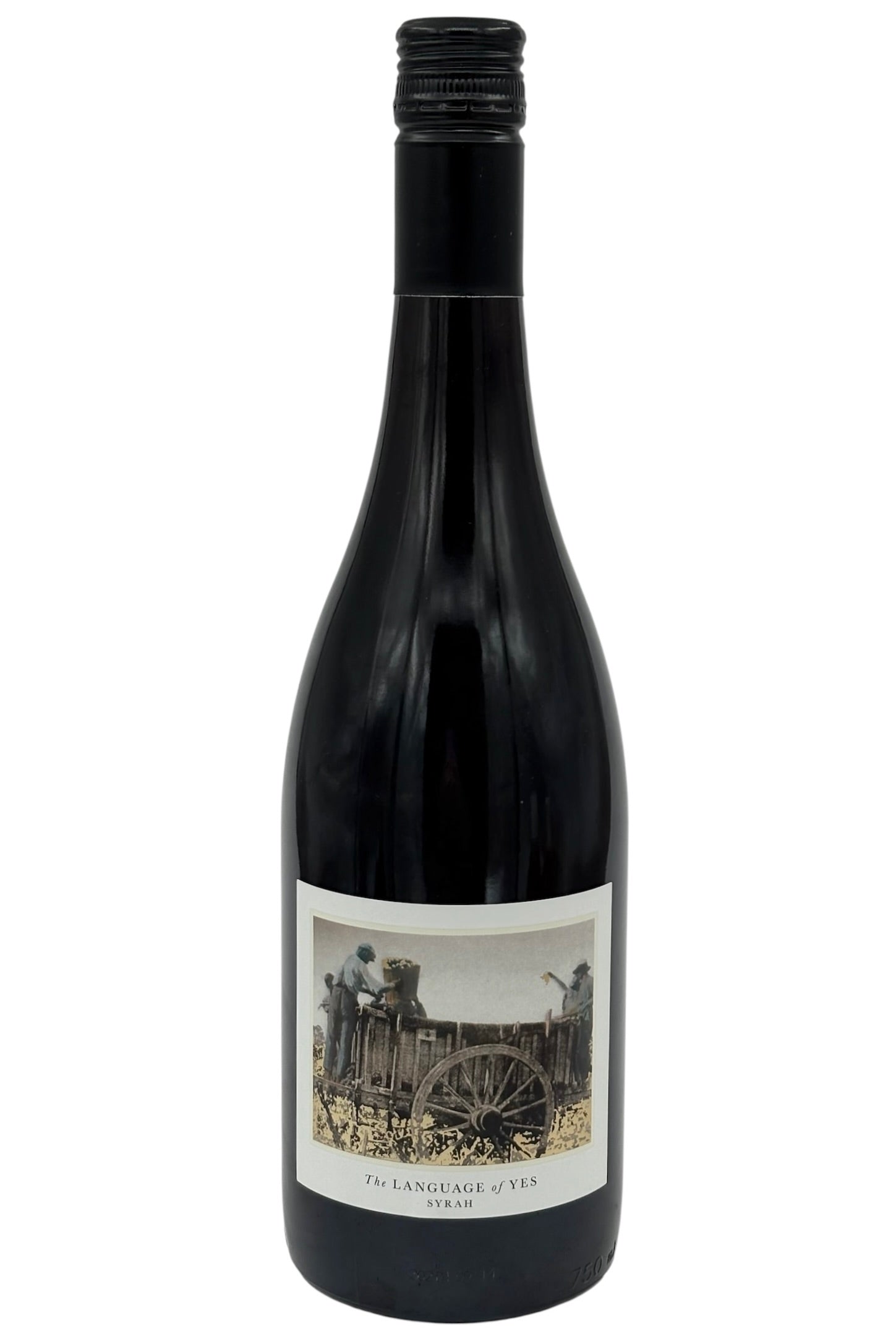 The Language of Yes 2022 Syrah Santa Maria Valley