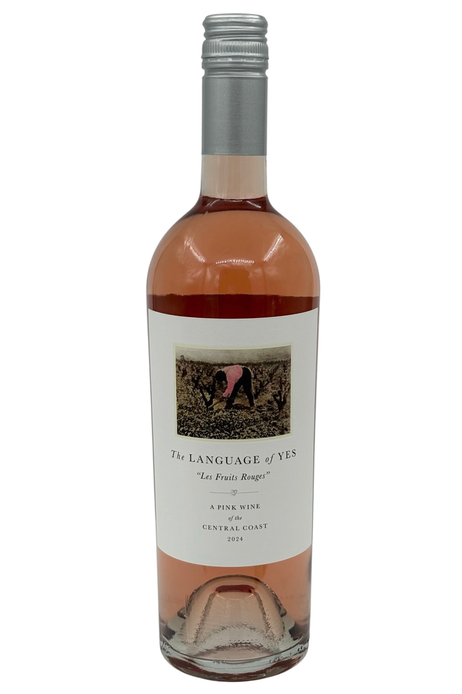 The Language of Yes 2024 Rosé Les Fruits Rouge Central Coast