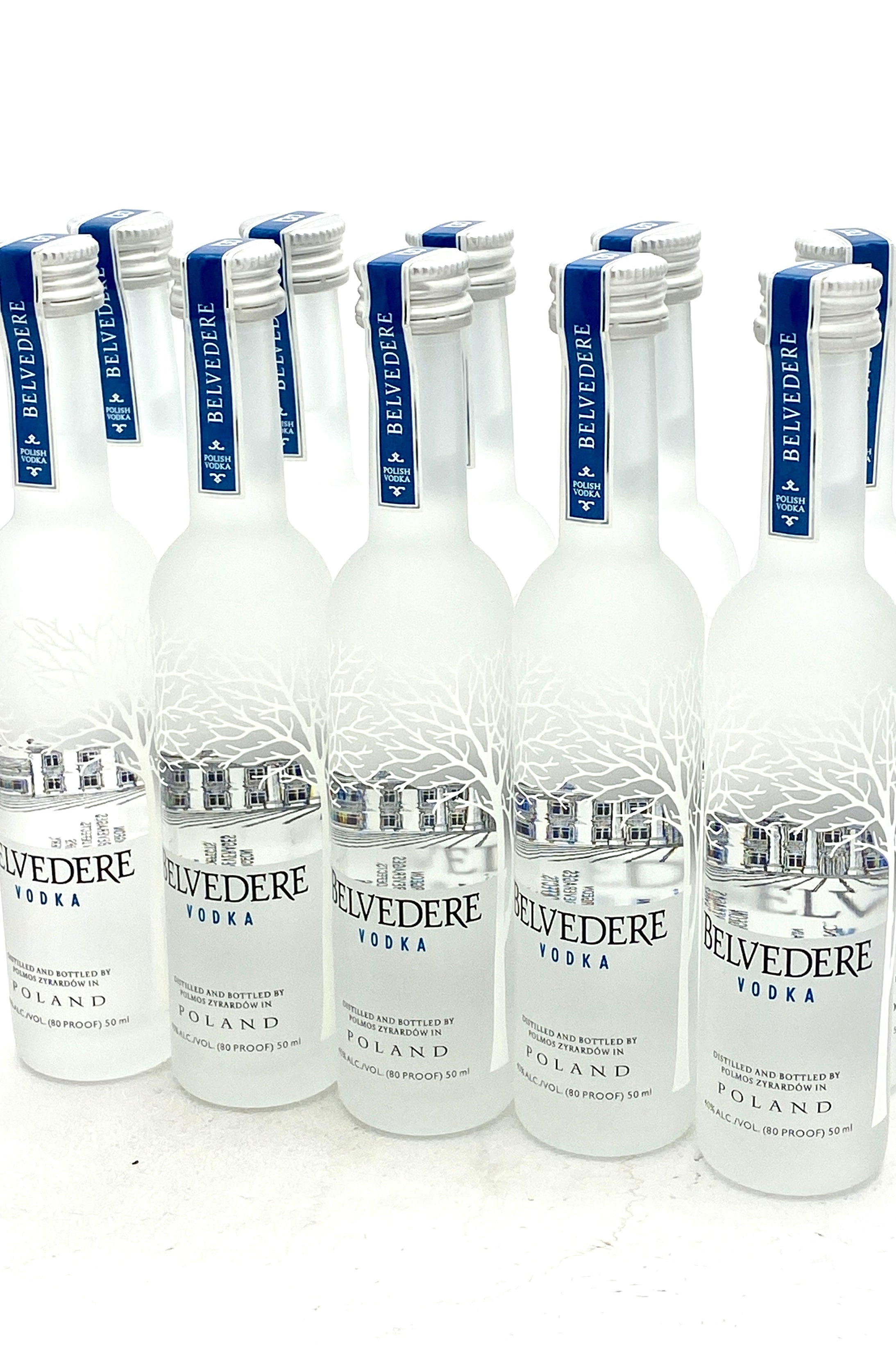 Belvedere Vodka - Small Bottle : Buy from World's Best Drinks Shop